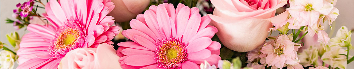 Earn 6% Cash Back from Rakuten.ca with 1800Flowers.ca Coupons, Promo Codes