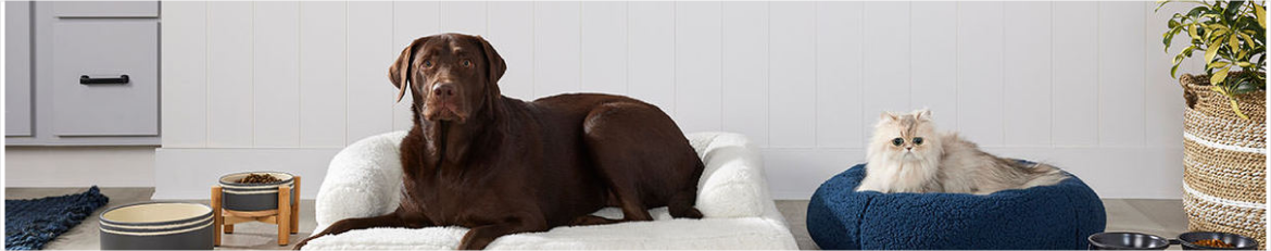 Earn 15% Cash Back from Rakuten.ca with PetSmart Coupons, Promo Codes
